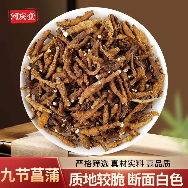 【九节菖蒲】九节菖蒲     正宗高品质  九节菖蒲 精选泡水茶