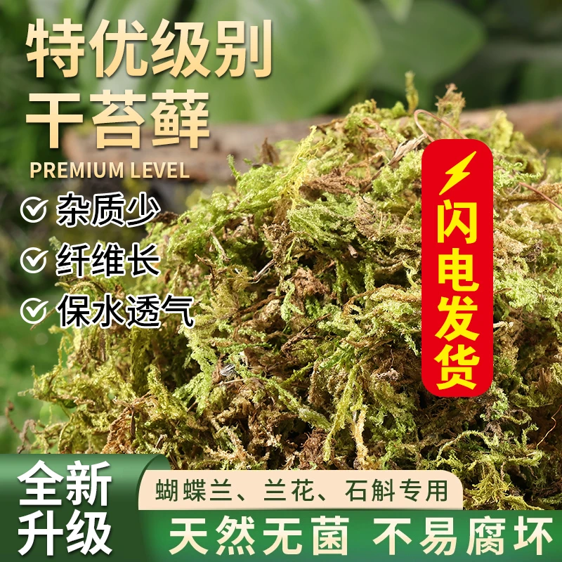水苔干水苔蝴蝶兰专用土兰花铺面种植苔藓石斛食虫植物爬宠垫材