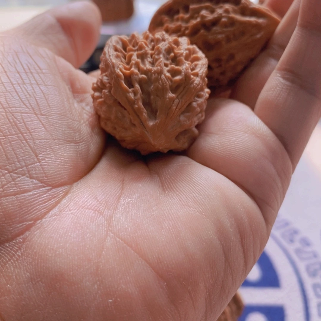 k***o大叶紫檀（黑酸枝木类）文玩核桃十三鸡心