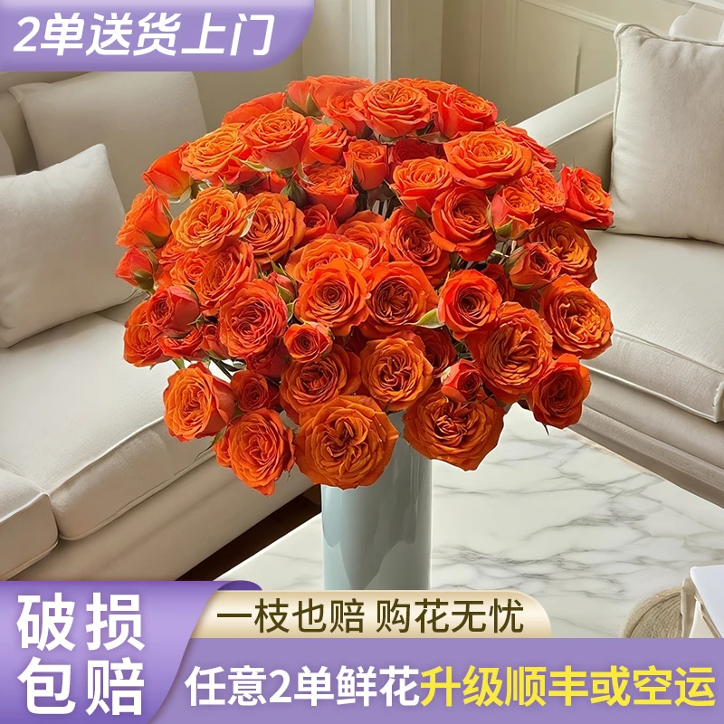 多玫-高品质-橙色芭比-水养插花用云南直发鲜花
