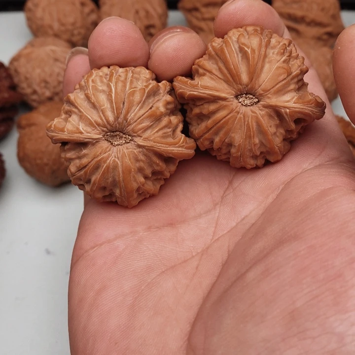 核桃小***虎你好吗我好想你