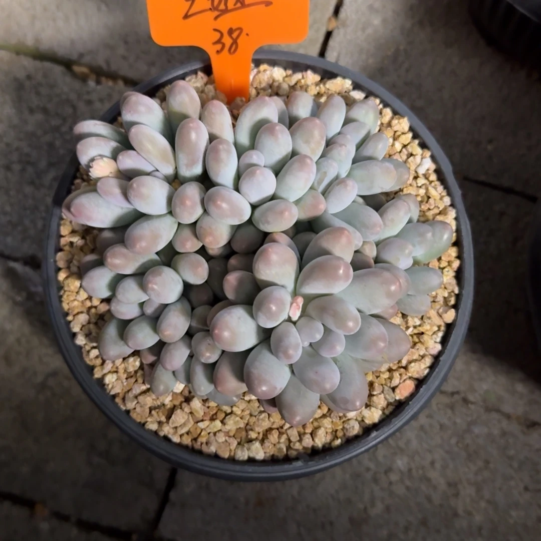 王***姐1111111111111111111111