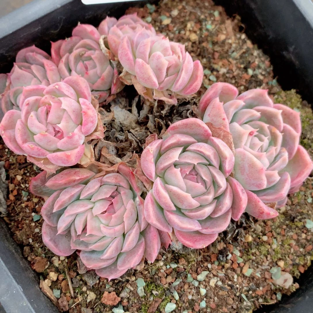 不****调8987不包整散掉头特价处理