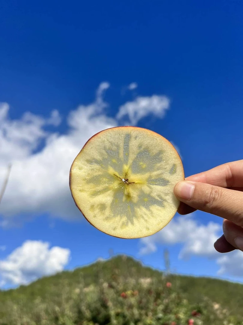 丽江丑苹果大果20颗左右含箱10斤包邮