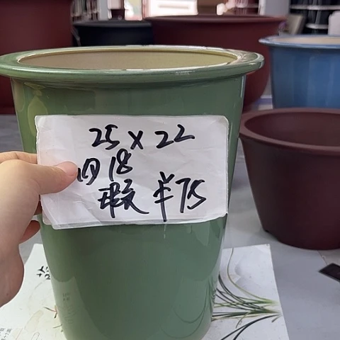 紫砂28558588588888558