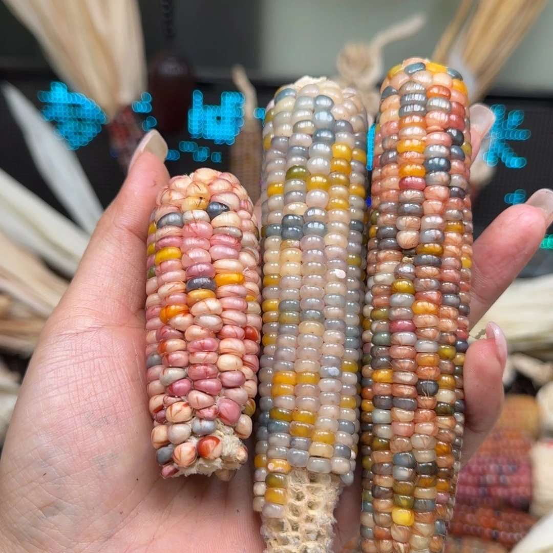 柏香籽/百香籽吊坠Ð****