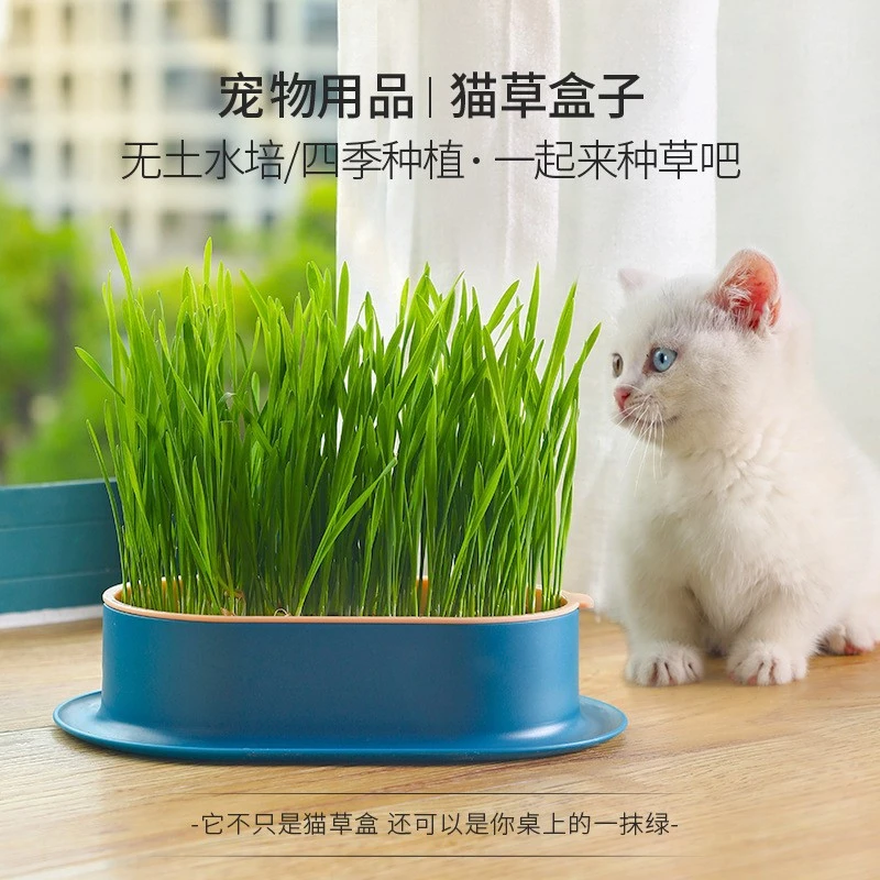 猫咪零食猫薄荷种植水培盒猫草盆（偏远地区不发）