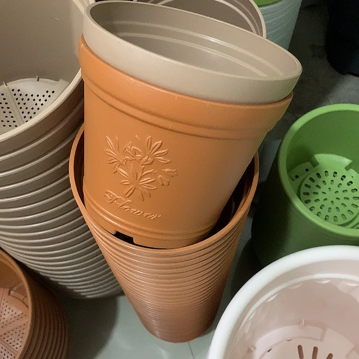 浮雕口16高13混色5个带托