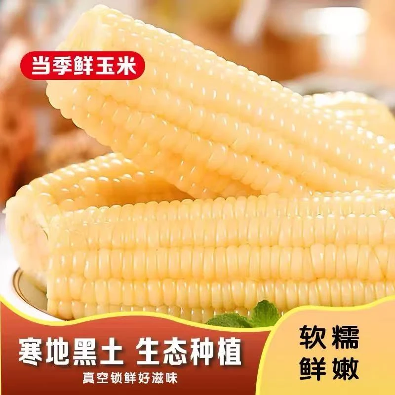 【整箱14根】2025年鲜采东北白糯玉米糯香甜净重7斤-7.5斤（试吃4根）
