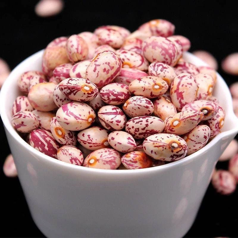 （云南新货）雀蛋豆花生豆圆粒饱满