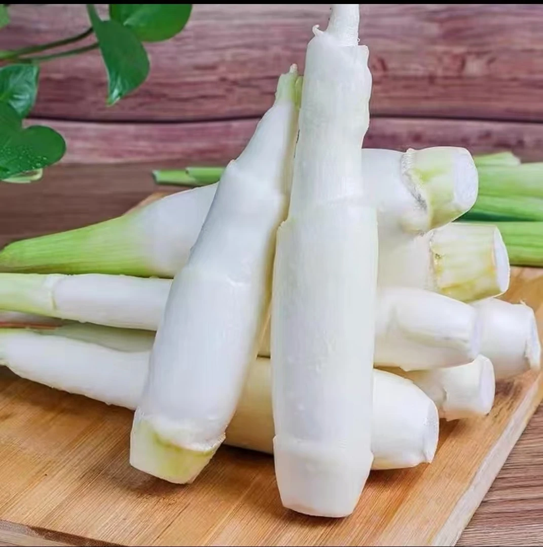 湖南农家本地新鲜带壳茭瓜 茭白夏季时令蔬菜