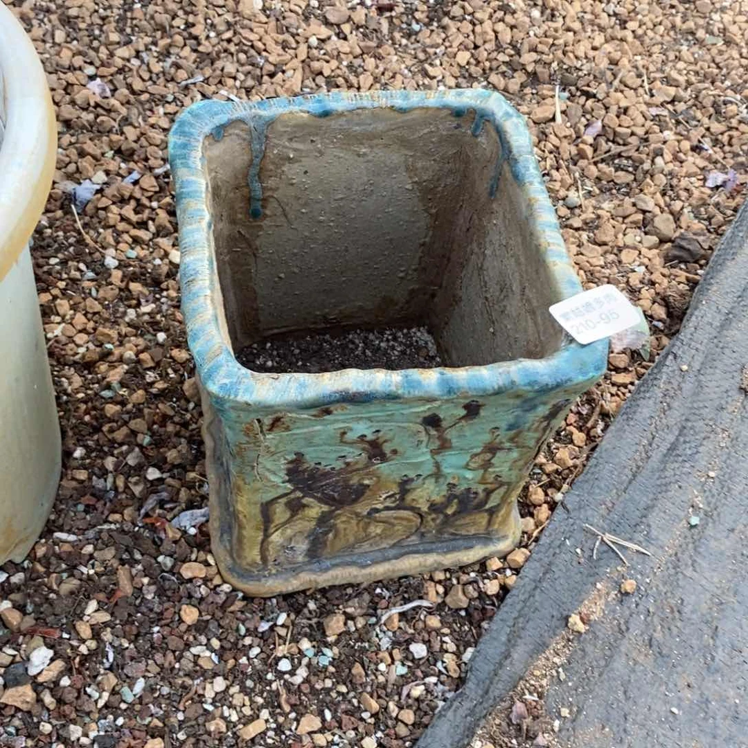 小*95号多肉盆一个呀