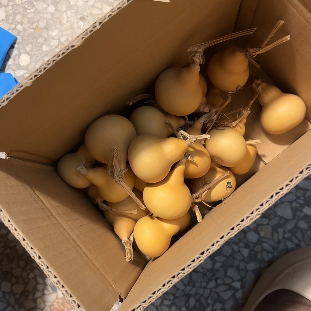 六***糖美果胖墩通货微瑕23个