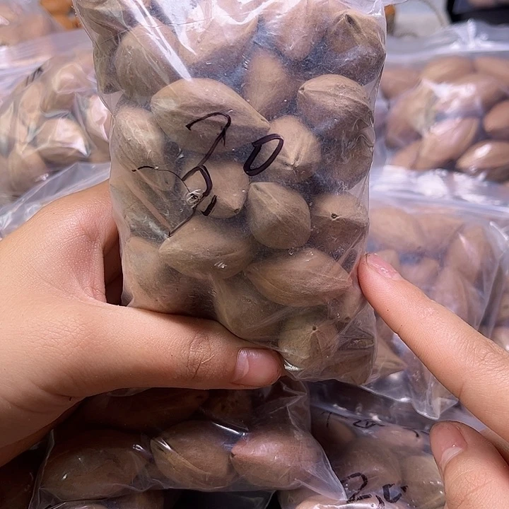 手串/手链橄榄核