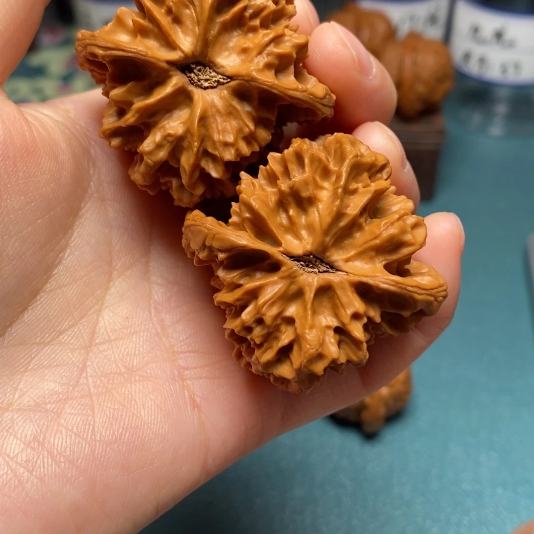 核桃43尺全品大刺花