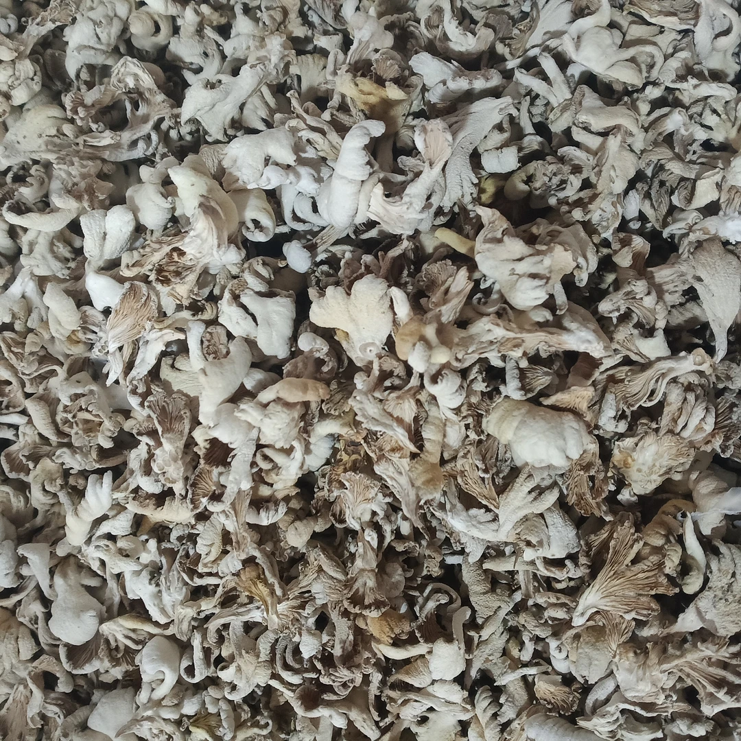 佤乡好货推荐【白参菌】山货推荐