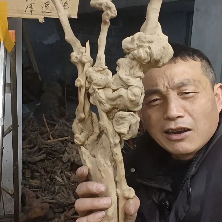 稳定木ღ****?贵州檬子木   铁马鞭   根艺  半成品