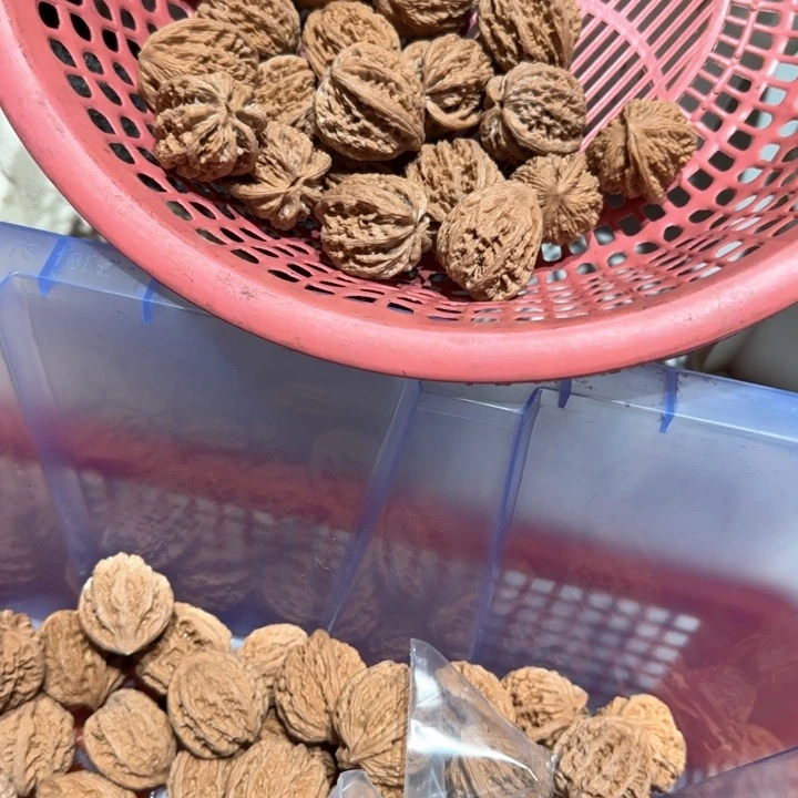 M***莫文玩核桃把件20个汉高山虎头