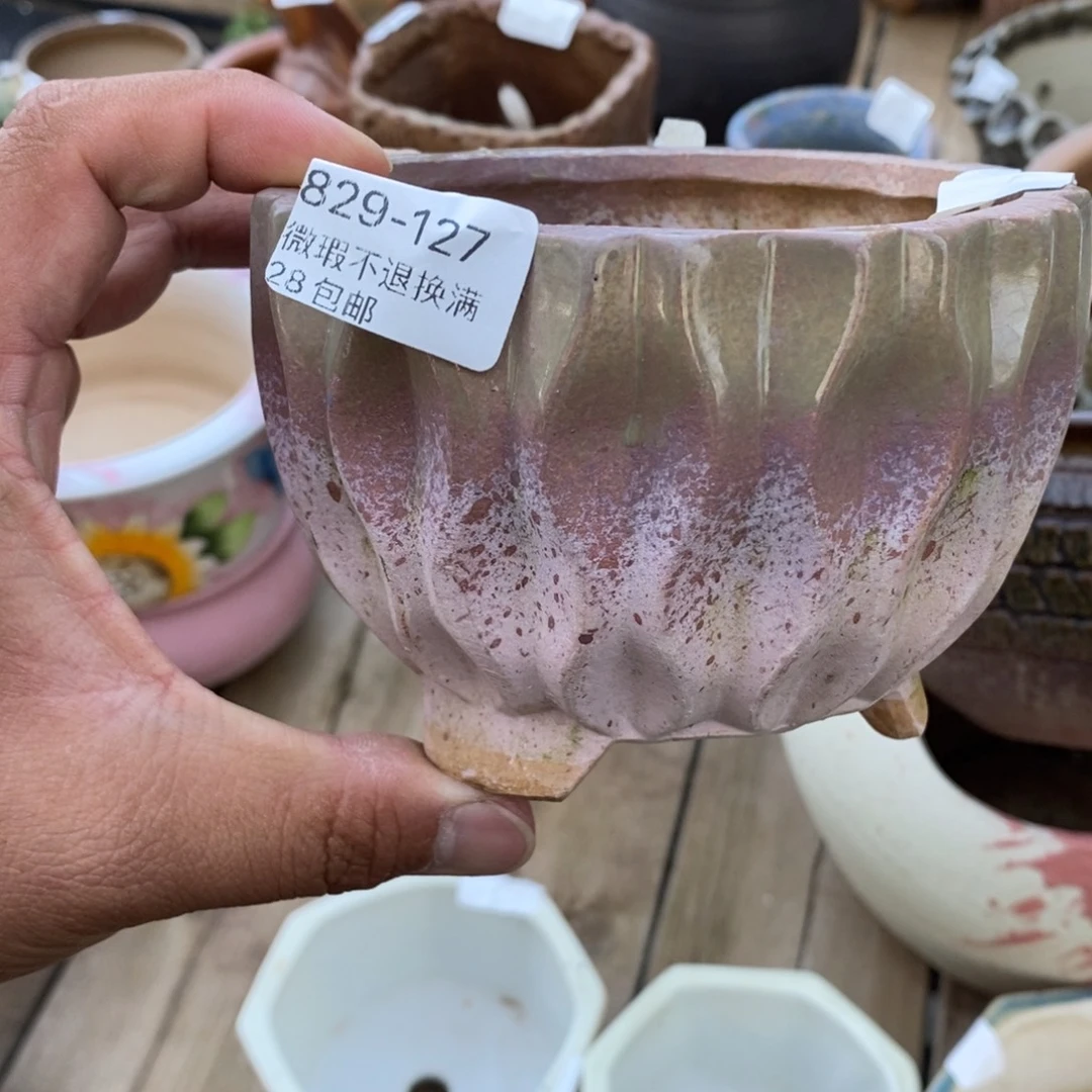 127号花盆内10高8.5