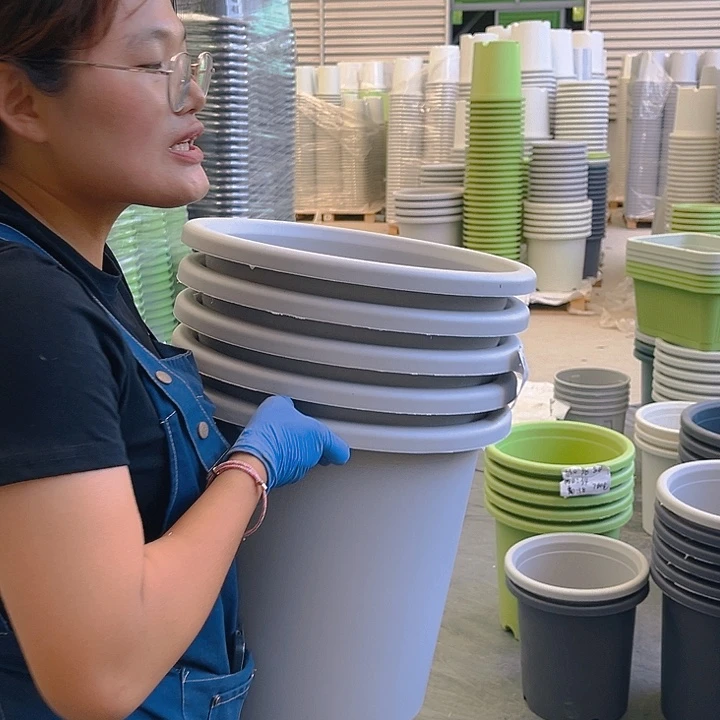 四季盆8#灰白色3个无托