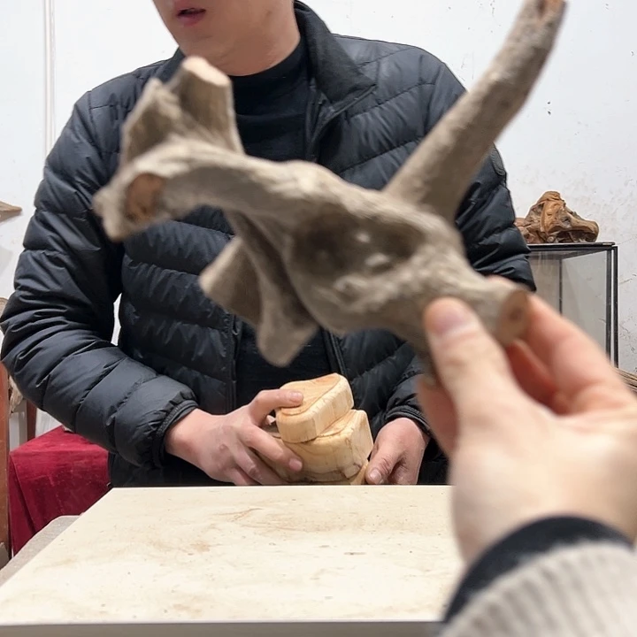 柏木空*我们的生活也是如此