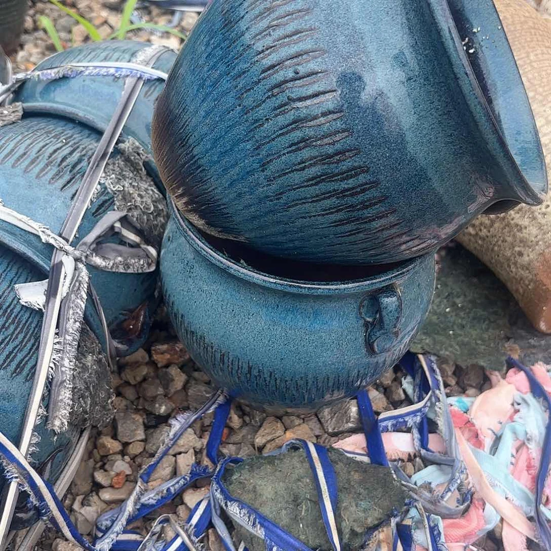 紫砂花盆蓝耳朵两个口径19高度19