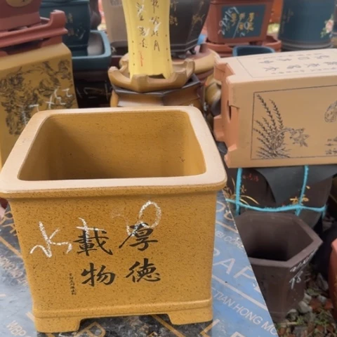 紫砂花盆紫砂花盆盆景盆栽