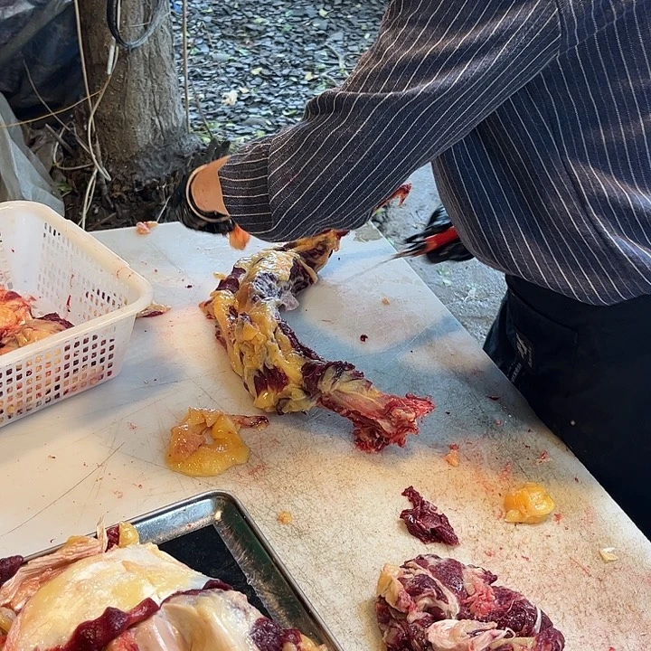 卡***贝18中国大陆散装拆骨肉