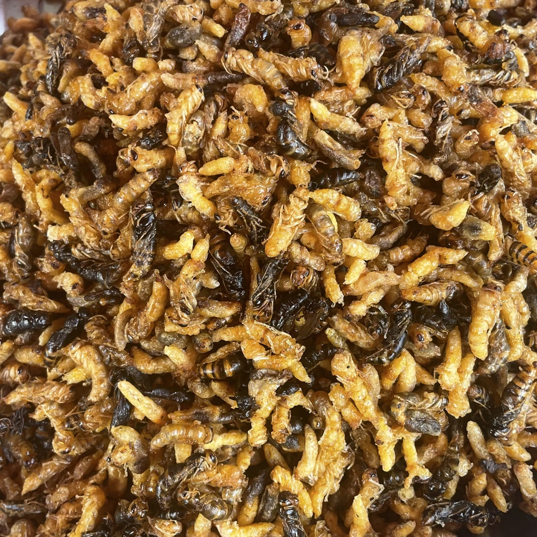 半斤新鲜柴火油炸蜂蛹