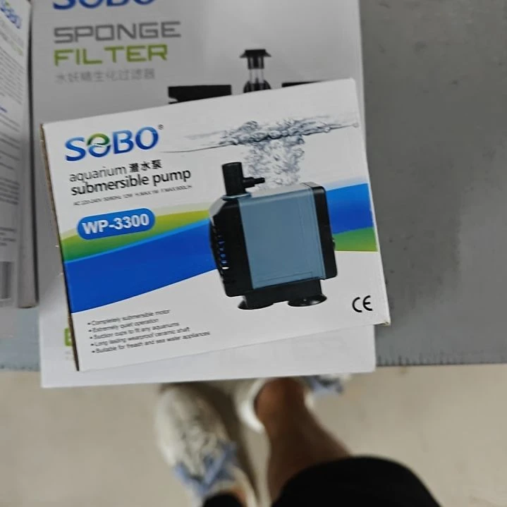 Wp330012W600L每小时水泵。