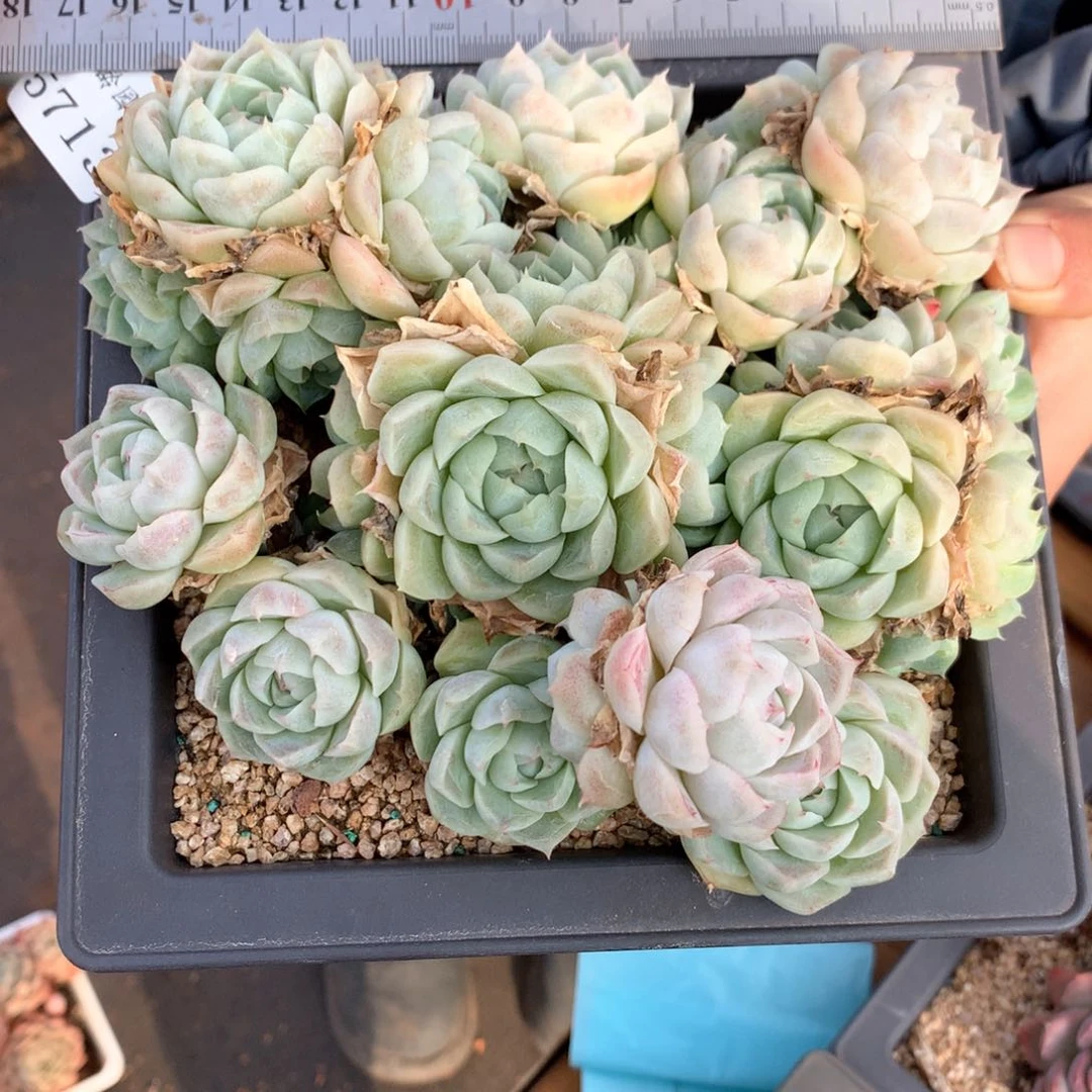 A*i5713瑕疵不售后特价处理