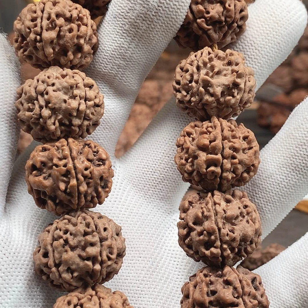 晓***月金刚菩提手串22mm荔枝纹五瓣15#