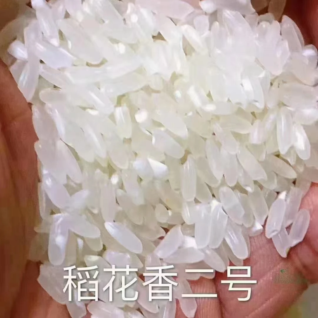五常大米原粮稻花香2号大米10斤装