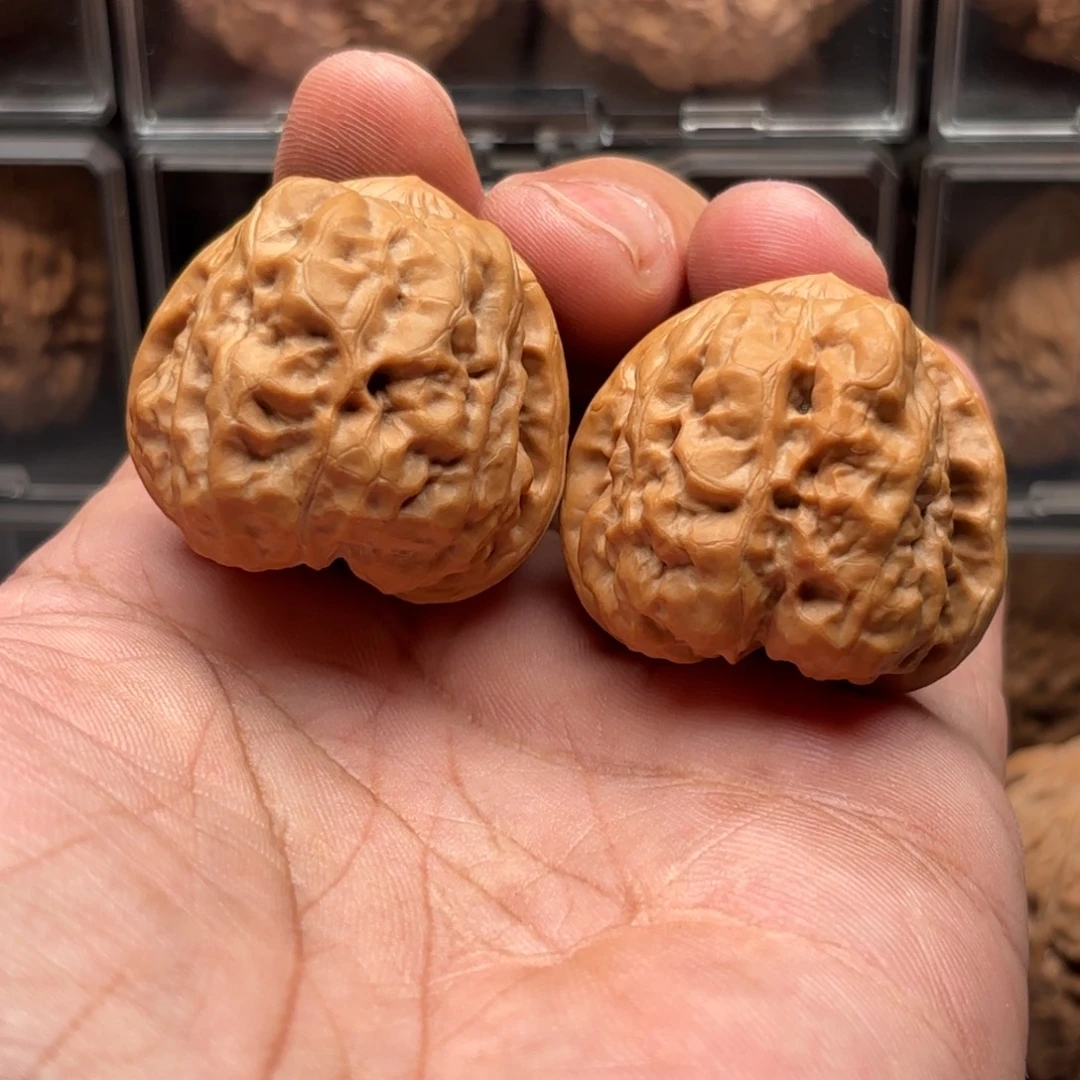 文玩核桃把件蛤蟆头