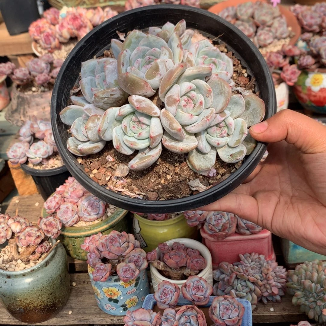 哈哈哈哈哈哈哈哈2