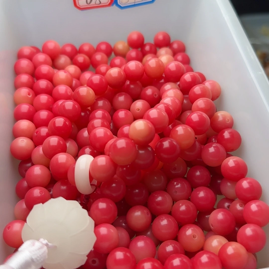 吊坠菩提根/象牙果50颗繁花12圆