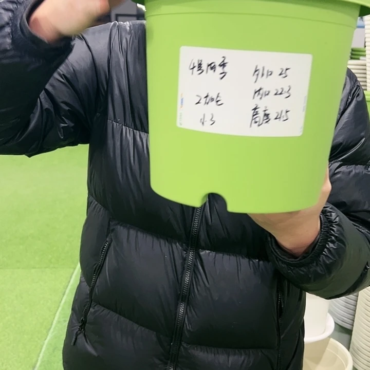 特价4号口25高21.5果绿色8只无托