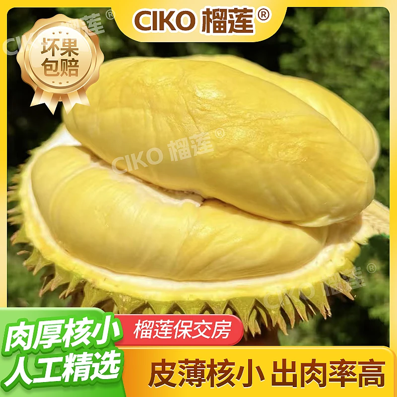 【琪琪精选】双果 顺丰包邮 顺丰包邮泰国金枕榴莲软糯香甜果型微丑