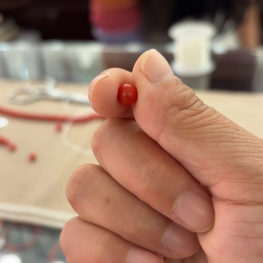 二***西红珠单颗全品精选高货
