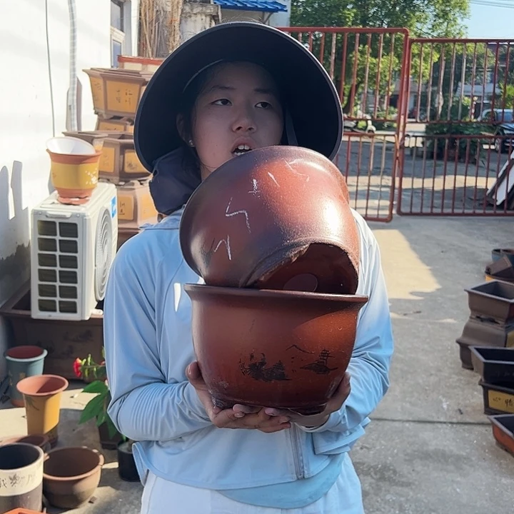 25+25紫气东来花盆花盆花盆