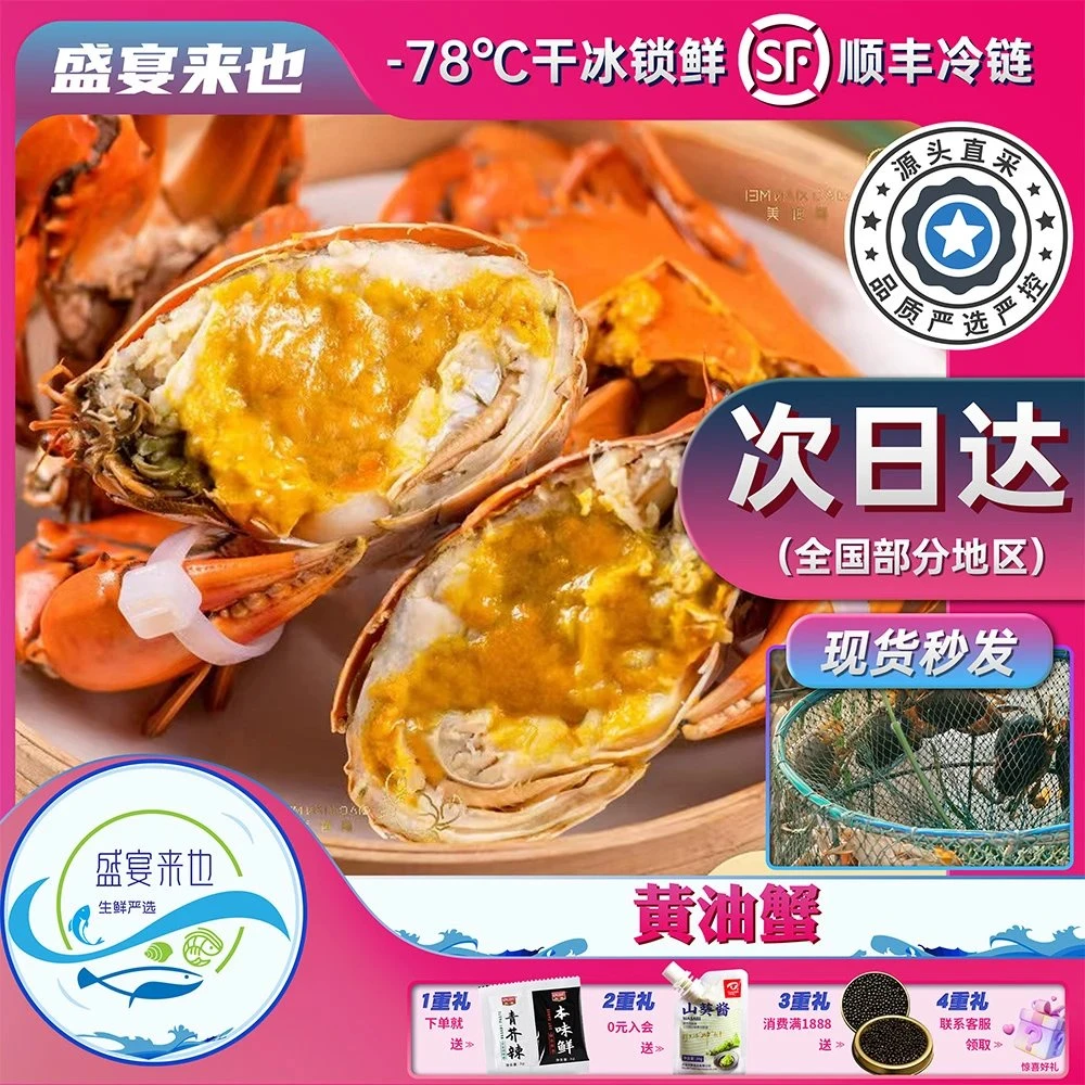 【盛宴特供】郑炳才黄油蟹高品质鲜活蟹现发正宗老广味道原产地直发