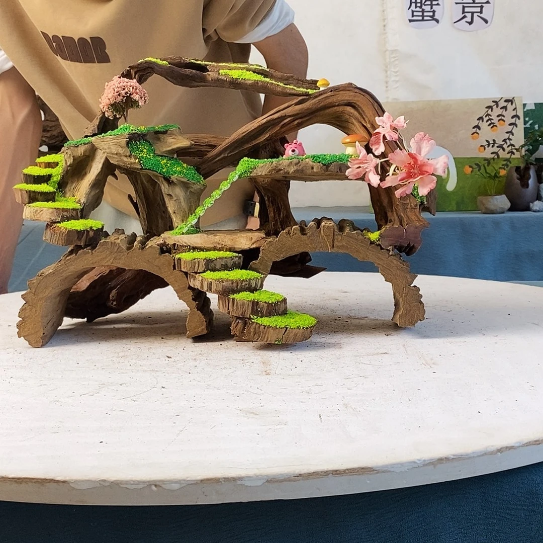 沉木造景寄居蟹造景