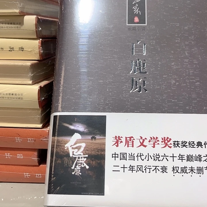 白鹿原精装未删减