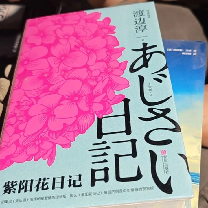 渡边淳一紫阳花日记精装库存书