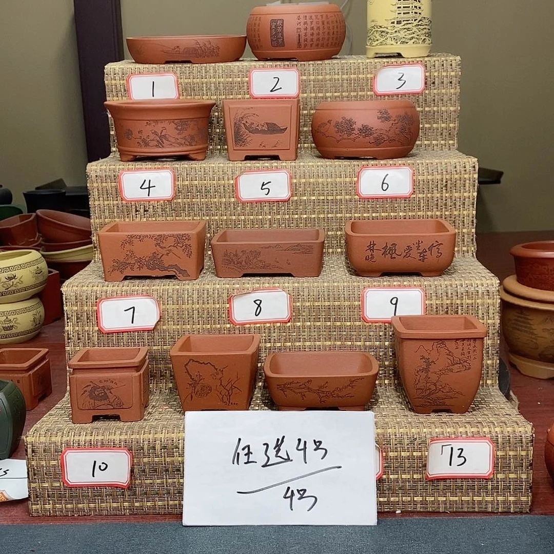 紫砂花盆我在看书啊