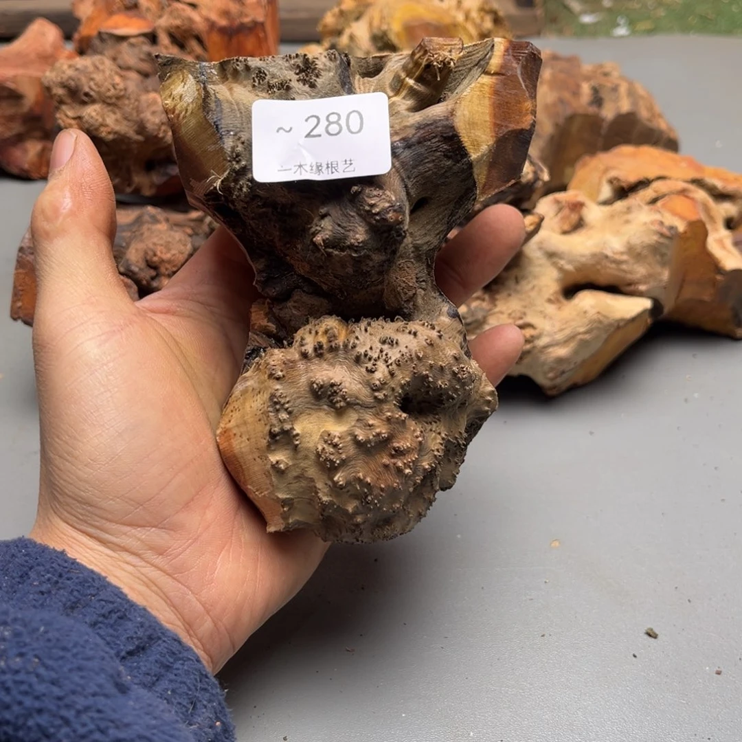 露***业无花朵0000000000280