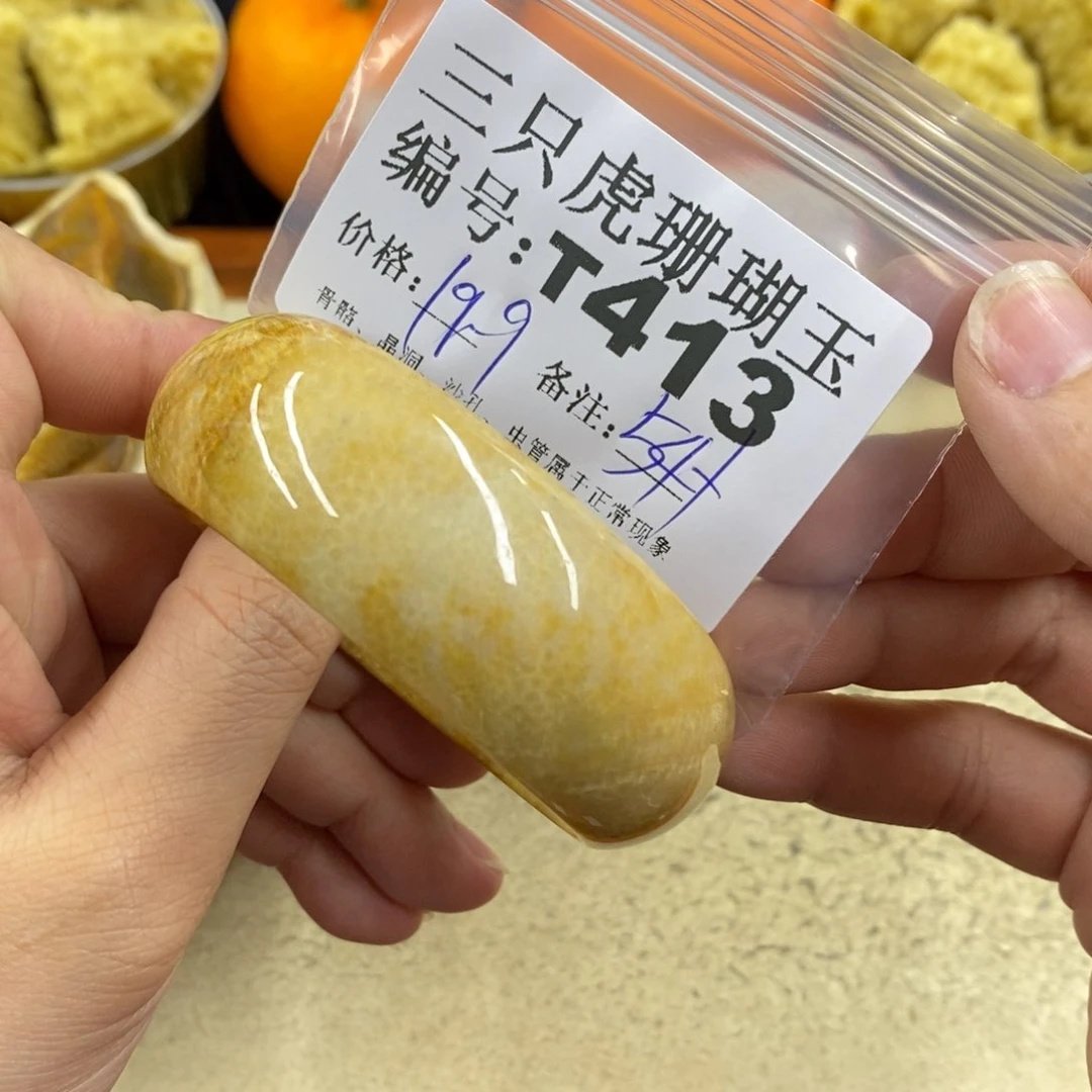 硅化珊瑚（珊瑚玉）1未镶嵌琳*