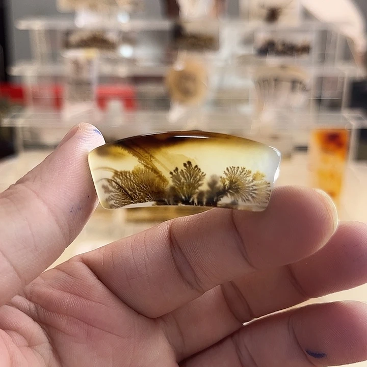 未镶嵌吊坠(不含链)玛瑙/玉髓