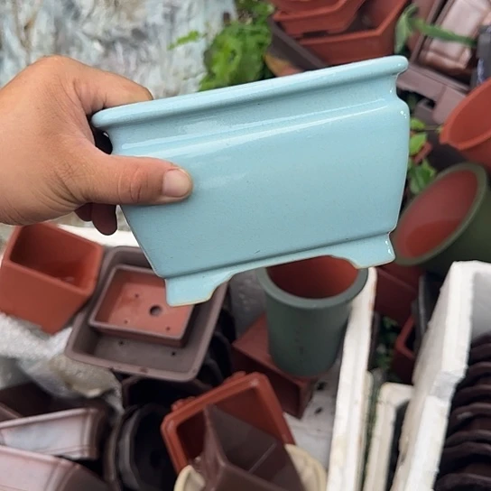 我是第十二次看到这种人出现吗