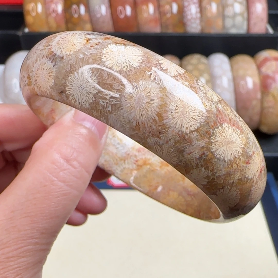 未镶嵌手镯硅化玉57圈口